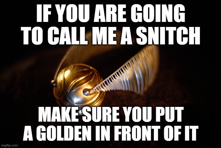 IF YOU ARE GOING TO CALL ME A SNITCH; MAKE SURE YOU PUT A GOLDEN IN FRONT OF IT | image tagged in golden,snitch | made w/ Imgflip meme maker