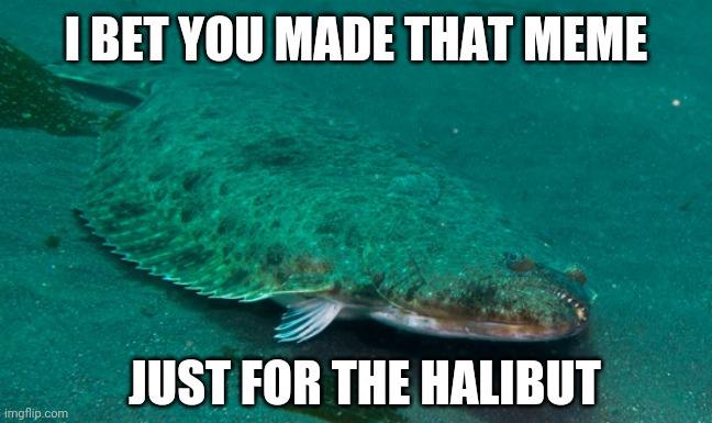 halibut | I BET YOU MADE THAT MEME JUST FOR THE HALIBUT | image tagged in halibut | made w/ Imgflip meme maker