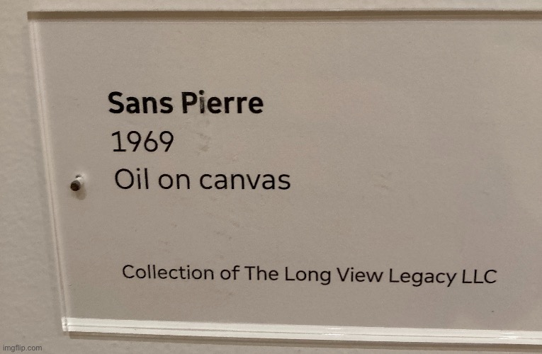 yo guys its snas | made w/ Imgflip meme maker