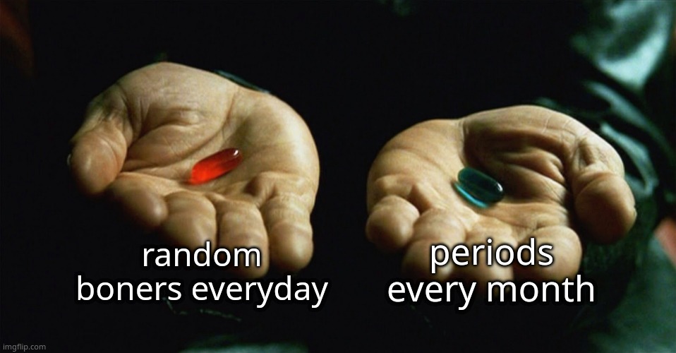 Red pill blue pill | random boners everyday; periods every month | image tagged in red pill blue pill | made w/ Imgflip meme maker
