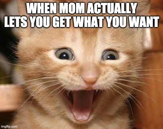 When | WHEN MOM ACTUALLY LETS YOU GET WHAT YOU WANT | image tagged in memes,excited cat | made w/ Imgflip meme maker