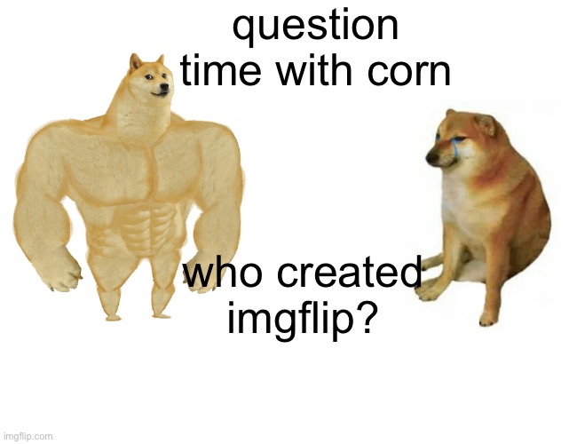 Buff Doge vs. Cheems | question time with corn; who created imgflip? | image tagged in memes,buff doge vs cheems | made w/ Imgflip meme maker