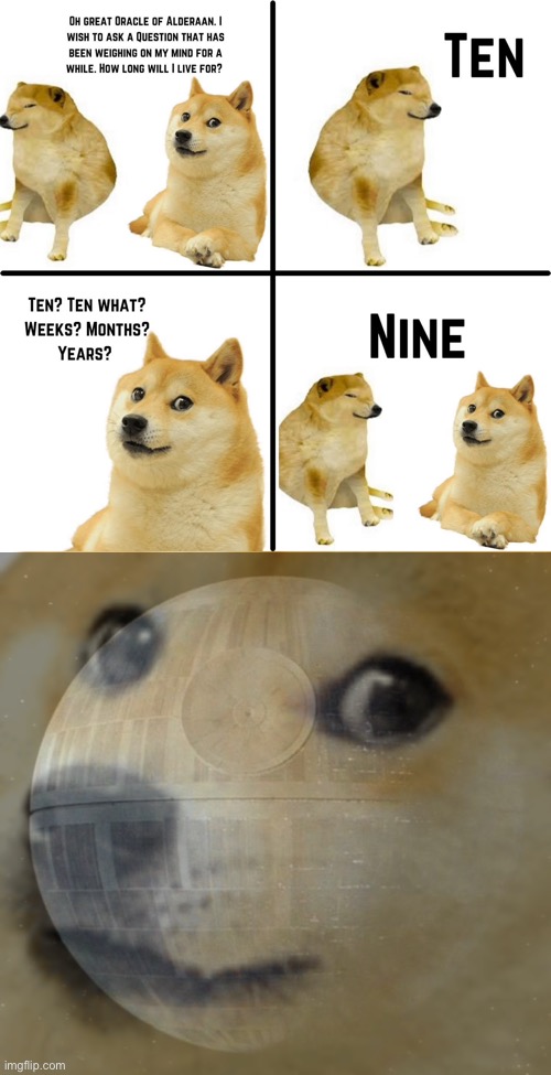 image tagged in doge | made w/ Imgflip meme maker