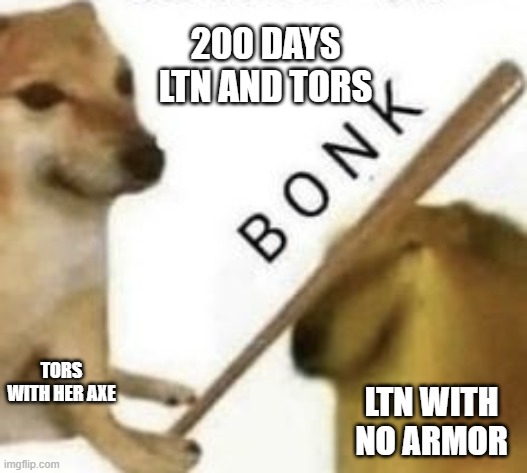 Bonk | 200 DAYS LTN AND TORS; TORS WITH HER AXE; LTN WITH NO ARMOR | image tagged in bonk | made w/ Imgflip meme maker