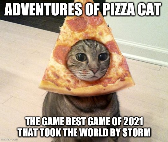 adventures of pizza cat needs to be a real thing | ADVENTURES OF PIZZA CAT; THE GAME BEST GAME OF 2021 THAT TOOK THE WORLD BY STORM | image tagged in pizza cat | made w/ Imgflip meme maker