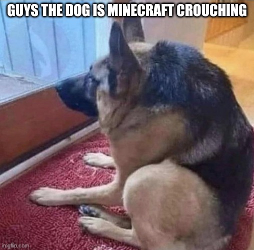 What the dog doin |  GUYS THE DOG IS MINECRAFT CROUCHING | image tagged in what the dog doin,minecraft | made w/ Imgflip meme maker
