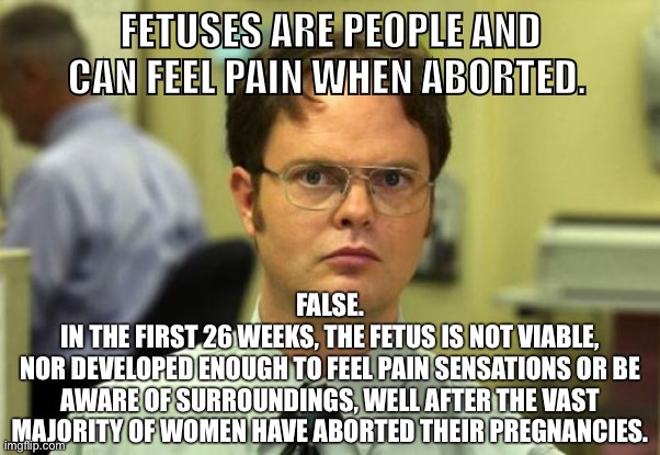 Don’t let right-wing misinformation make you attack women’s autonomy. | FETUSES ARE PEOPLE AND CAN FEEL PAIN WHEN ABORTED. FALSE.
IN THE FIRST 26 WEEKS, THE FETUS IS NOT VIABLE,
NOR DEVELOPED ENOUGH TO FEEL PAIN SENSATIONS OR BE
AWARE OF SURROUNDINGS, WELL AFTER THE VAST MAJORITY OF WOMEN HAVE ABORTED THEIR PREGNANCIES. | image tagged in memes,dwight schrute,abortion,abortion is murder,misinformation,conservative logic | made w/ Imgflip meme maker