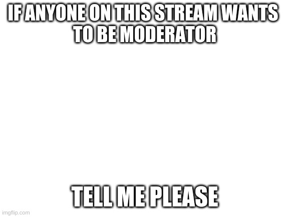 Blank White Template | IF ANYONE ON THIS STREAM WANTS 
TO BE MODERATOR; TELL ME PLEASE | image tagged in blank white template | made w/ Imgflip meme maker