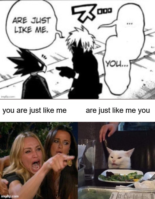 Woman Yelling At Cat | you are just like me; are just like me you | image tagged in memes,woman yelling at cat | made w/ Imgflip meme maker