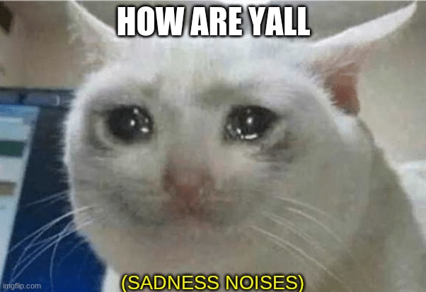 sadness noises | HOW ARE YALL | image tagged in sadness noises | made w/ Imgflip meme maker