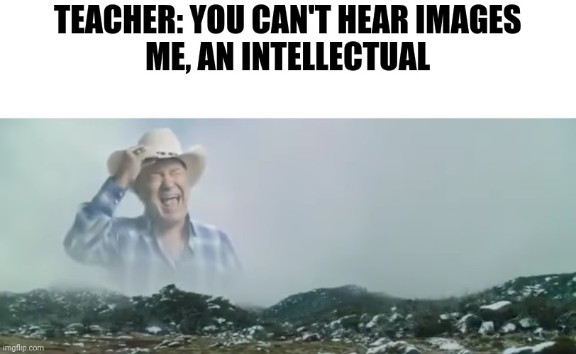 Ahhhhhhh | TEACHER: YOU CAN'T HEAR IMAGES
ME, AN INTELLECTUAL | image tagged in ahhhhhhhhhhhhh | made w/ Imgflip meme maker