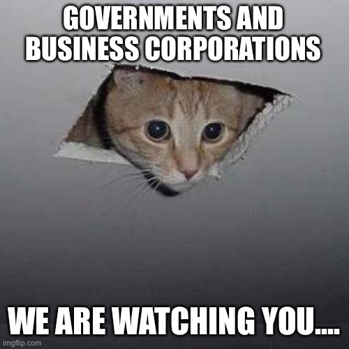 Camera security cat | GOVERNMENTS AND BUSINESS CORPORATIONS; WE ARE WATCHING YOU.... | image tagged in memes,ceiling cat,government,business,corporations,watching | made w/ Imgflip meme maker