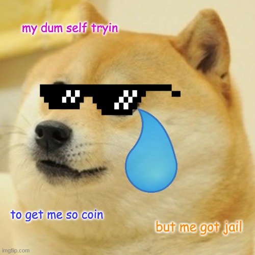 Doge | my dum self tryin; to get me so coin; but me got jail | image tagged in memes,doge | made w/ Imgflip meme maker