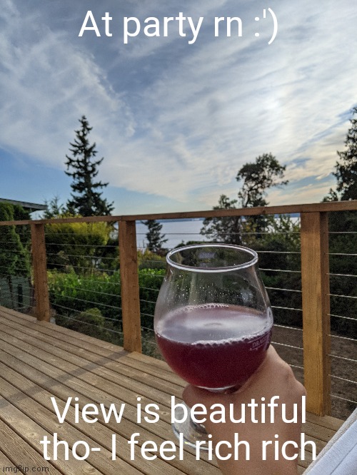 Spiked juice. Delicious. | At party rn :'); View is beautiful tho- I feel rich rich | made w/ Imgflip meme maker