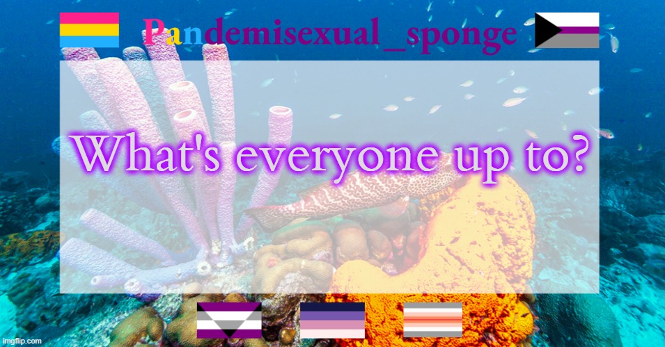 Homework for me | What's everyone up to? | image tagged in pandemisexual_sponge temp,demisexual_sponge | made w/ Imgflip meme maker