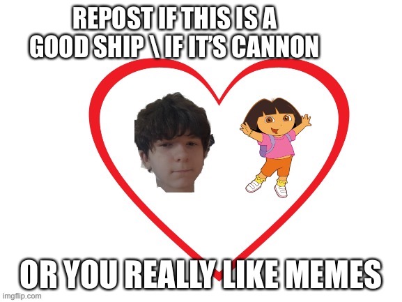 REPOST IF THIS IS A GOOD SHIP \ IF IT’S CANNON; OR YOU REALLY LIKE MEMES | image tagged in help | made w/ Imgflip meme maker