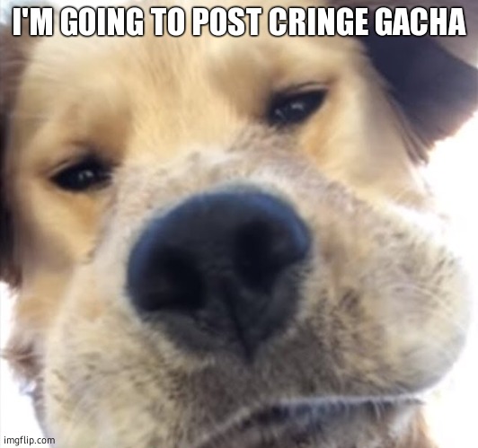 cry about it | I'M GOING TO POST CRINGE GACHA | image tagged in doggo bruh | made w/ Imgflip meme maker