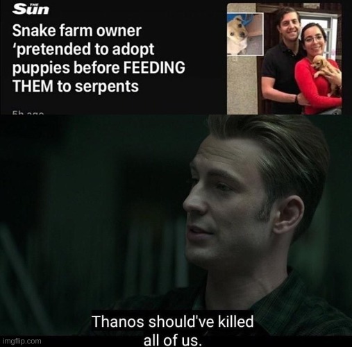 This is sad. Dogs deserve better. | image tagged in thanos should've killed all of us,memes,sad,dogs | made w/ Imgflip meme maker