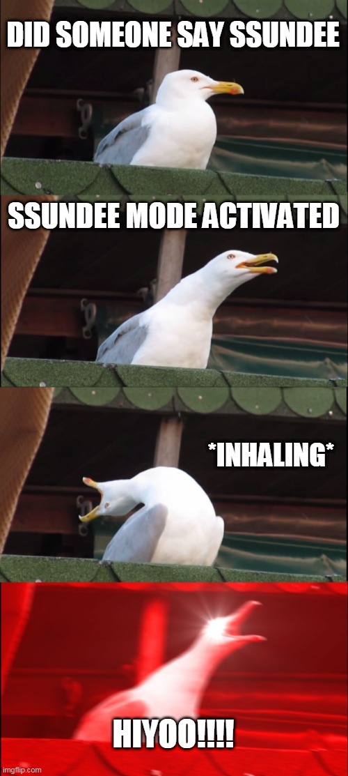 SSUNDEE TIME | DID SOMEONE SAY SSUNDEE; SSUNDEE MODE ACTIVATED; *INHALING*; HIYOO!!!! | image tagged in memes,inhaling seagull | made w/ Imgflip meme maker