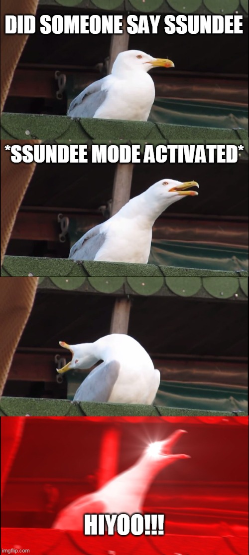 Inhaling Seagull | DID SOMEONE SAY SSUNDEE; *SSUNDEE MODE ACTIVATED*; HIYOO!!! | image tagged in memes,inhaling seagull | made w/ Imgflip meme maker