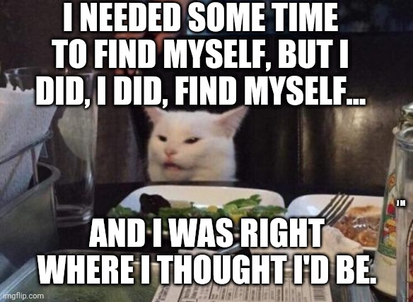 Salad cat | I NEEDED SOME TIME TO FIND MYSELF, BUT I DID, I DID, FIND MYSELF... J M; AND I WAS RIGHT WHERE I THOUGHT I'D BE. | image tagged in salad cat | made w/ Imgflip meme maker