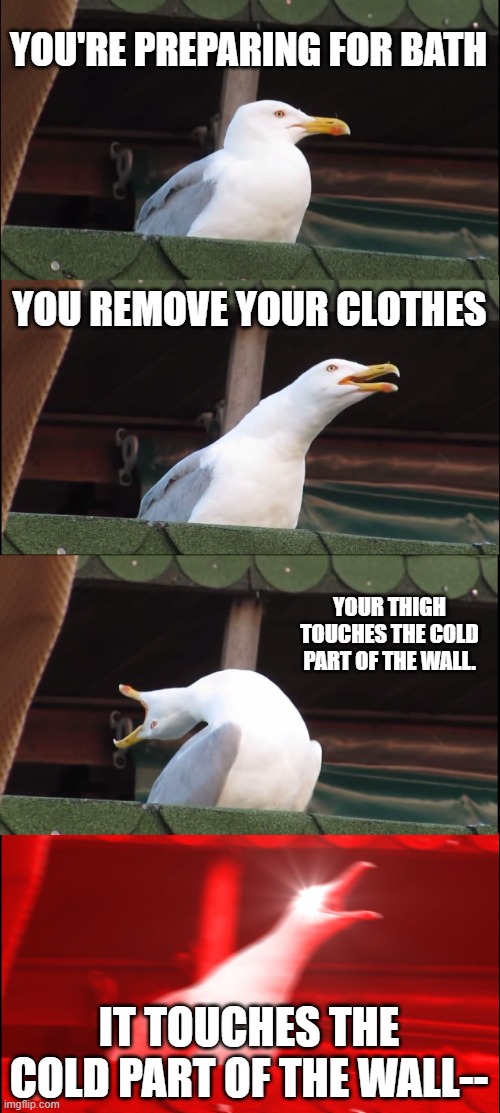 Inhaling Seagull | YOU'RE PREPARING FOR BATH; YOU REMOVE YOUR CLOTHES; YOUR THIGH TOUCHES THE COLD PART OF THE WALL. IT TOUCHES THE COLD PART OF THE WALL-- | image tagged in memes,inhaling seagull | made w/ Imgflip meme maker