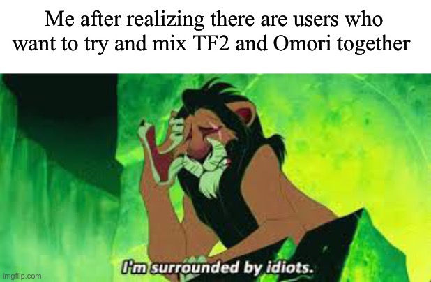 Why not have both? *Visible concern* | Me after realizing there are users who want to try and mix TF2 and Omori together | image tagged in i'm surrounded by idiots | made w/ Imgflip meme maker