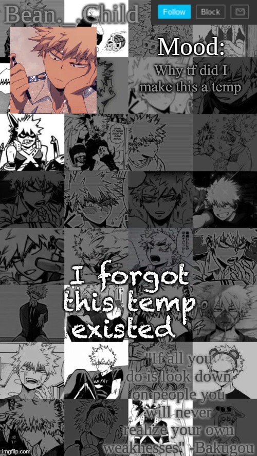 Jxbxhdjd | Why tf did I make this a temp; I forgot this temp existed | image tagged in beanchild bakugou temp | made w/ Imgflip meme maker