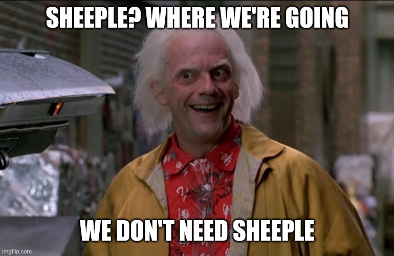 Doc Brown | SHEEPLE? WHERE WE'RE GOING; WE DON'T NEED SHEEPLE | image tagged in doc brown | made w/ Imgflip meme maker