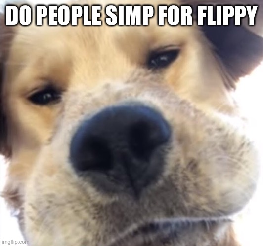 Doggo bruh | DO PEOPLE SIMP FOR FLIPPY | image tagged in doggo bruh | made w/ Imgflip meme maker
