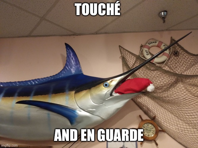 Swordfish | TOUCHÉ AND EN GUARDE | image tagged in swordfish | made w/ Imgflip meme maker