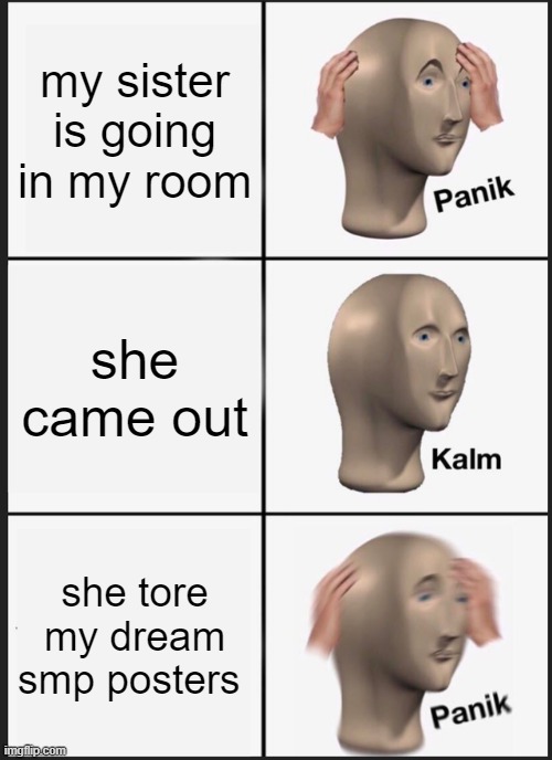 You dont dare *sobbing over my posters* | my sister is going in my room; she came out; she tore my dream smp posters | image tagged in memes,panik kalm panik | made w/ Imgflip meme maker