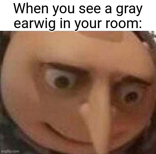 Become the hive | When you see a gray earwig in your room: | image tagged in gru meme,bone hive | made w/ Imgflip meme maker