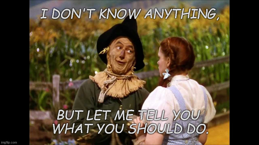 wizard of oz scarecrow | I DON'T KNOW ANYTHING, BUT LET ME TELL YOU 
WHAT YOU SHOULD DO. | image tagged in wizard of oz scarecrow | made w/ Imgflip meme maker