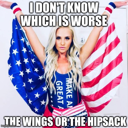 flag | I DON'T KNOW WHICH IS WORSE THE WINGS OR THE HIPSACK | image tagged in flag | made w/ Imgflip meme maker