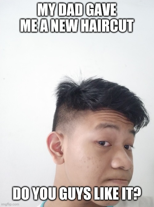 MY DAD GAVE ME A NEW HAIRCUT; DO YOU GUYS LIKE IT? | made w/ Imgflip meme maker