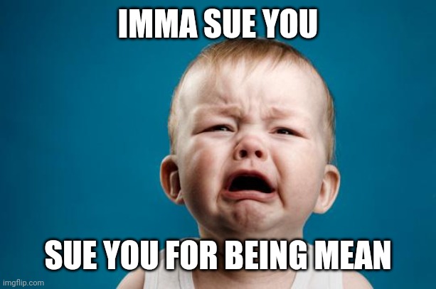 BABY CRYING | IMMA SUE YOU SUE YOU FOR BEING MEAN | image tagged in baby crying | made w/ Imgflip meme maker