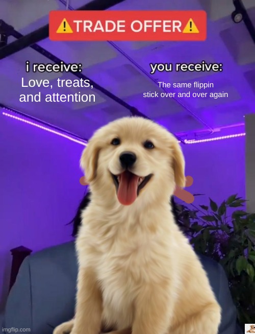 Doggo meme | Love, treats, and attention; The same flippin stick over and over again | image tagged in doggo,lol | made w/ Imgflip meme maker