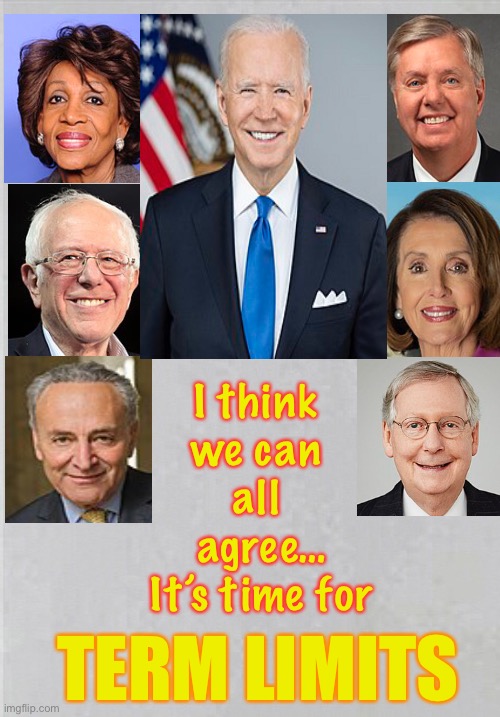 They’ve Exceeded Their -USE BY- Date | I think 
we can 
all 
agree…
It’s time for; TERM LIMITS | image tagged in politicians,out of touch,gotta go,not representing the people,power money control,they can all kma | made w/ Imgflip meme maker