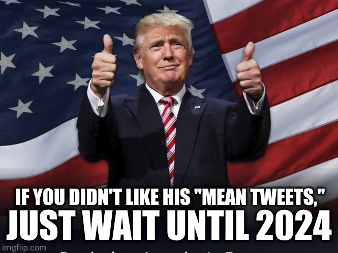 Trump 2024 | JUST WAIT UNTIL 2024; IF YOU DIDN'T LIKE HIS "MEAN TWEETS," | image tagged in donald trump thumbs up | made w/ Imgflip meme maker