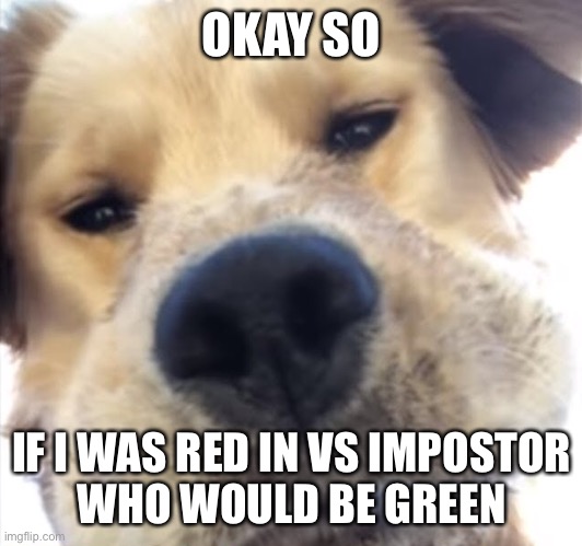 Doggo bruh | OKAY SO; IF I WAS RED IN VS IMPOSTOR
WHO WOULD BE GREEN | image tagged in doggo bruh | made w/ Imgflip meme maker