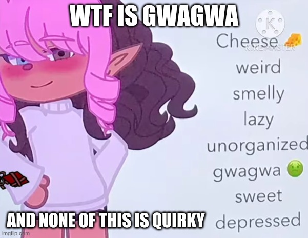 WTF IS GWAGWA; AND NONE OF THIS IS QUIRKY | made w/ Imgflip meme maker