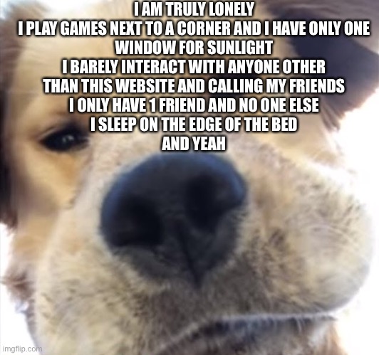Doggo bruh | I AM TRULY LONELY

I PLAY GAMES NEXT TO A CORNER AND I HAVE ONLY ONE WINDOW FOR SUNLIGHT
I BARELY INTERACT WITH ANYONE OTHER THAN THIS WEBSITE AND CALLING MY FRIENDS
I ONLY HAVE 1 FRIEND AND NO ONE ELSE
I SLEEP ON THE EDGE OF THE BED
AND YEAH | image tagged in doggo bruh | made w/ Imgflip meme maker