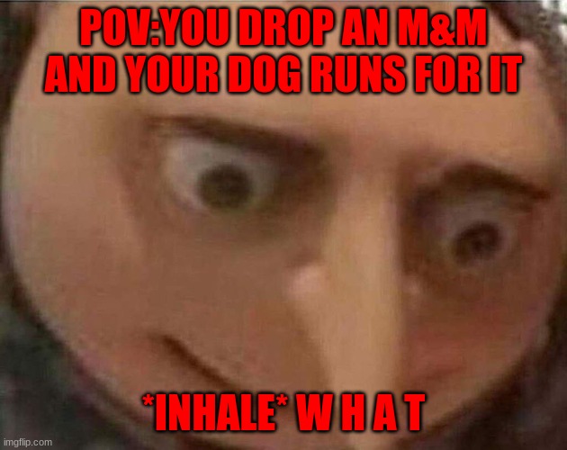 Release The Vacuum | POV:YOU DROP AN M&M AND YOUR DOG RUNS FOR IT; *INHALE* W H A T | image tagged in gru meme | made w/ Imgflip meme maker