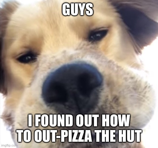 Doggo bruh | GUYS; I FOUND OUT HOW TO OUT-PIZZA THE HUT | image tagged in doggo bruh | made w/ Imgflip meme maker