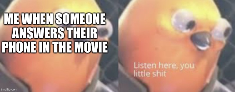 Listen here you little shit bird | ME WHEN SOMEONE ANSWERS THEIR PHONE IN THE MOVIE | image tagged in listen here you little shit bird | made w/ Imgflip meme maker