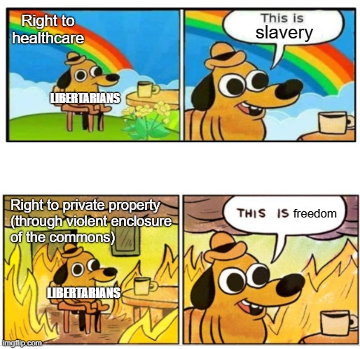 Right-Libertarian logic | Right to healthcare; slavery; LIBERTARIANS; Right to private property
(through violent enclosure
of the commons); freedom; LIBERTARIANS | image tagged in unbearable,libertarians,libertarian,private property,socialism,freedom | made w/ Imgflip meme maker