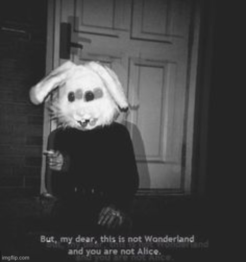 This is not wonderland and you are not alice | image tagged in this is not wonderland and you are not alice | made w/ Imgflip meme maker