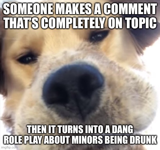 Doggo bruh | SOMEONE MAKES A COMMENT THAT’S COMPLETELY ON TOPIC; THEN IT TURNS INTO A DANG ROLE PLAY ABOUT MINORS BEING DRUNK | image tagged in doggo bruh | made w/ Imgflip meme maker