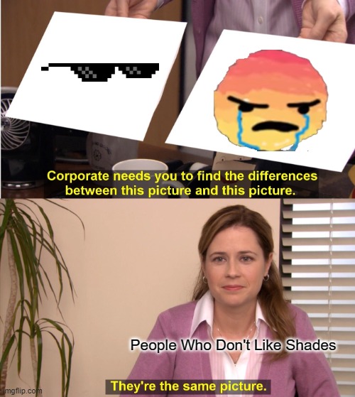 They're The Same Picture Meme | People Who Don't Like Shades | image tagged in memes,they're the same picture | made w/ Imgflip meme maker